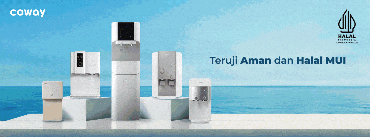 Filter Air Coway