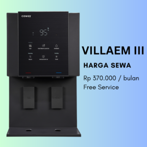 Villaem III
